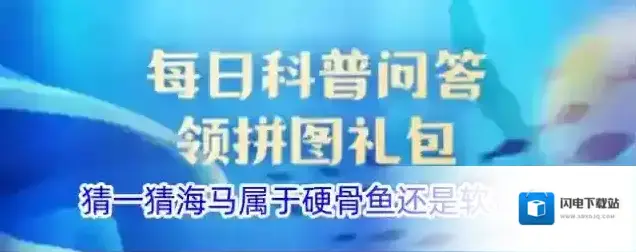 猜一猜海马属于硬骨鱼还是软骨鱼