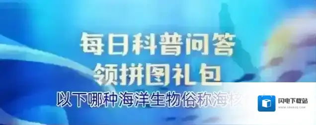 以下哪种海洋生物俗称海核桃