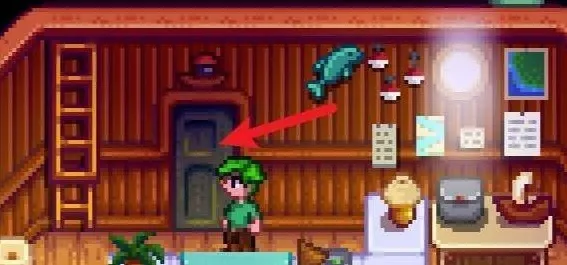 星露谷物语鱼店