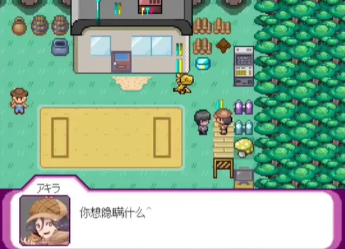 宝可梦迷之规则规则