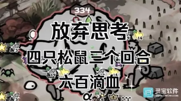 喵喵的结合松鼠