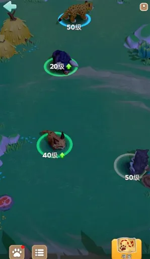 奔奔王国1至3代宠物养成攻略