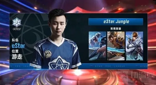 王者荣耀王子