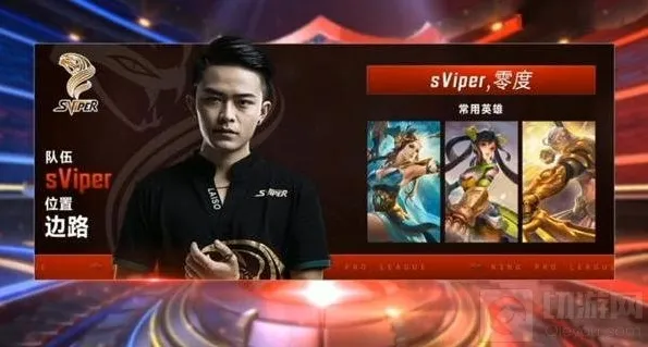 王者荣耀战队