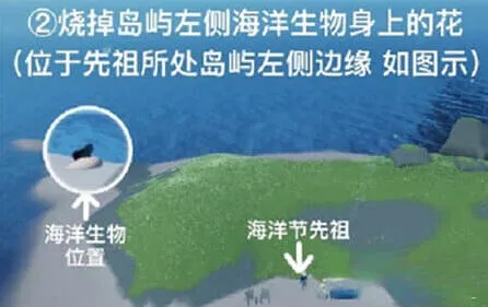 光遇污染