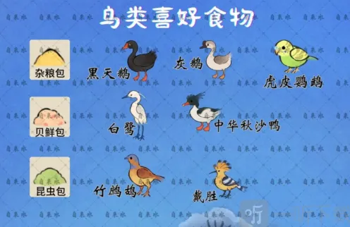 《桃源深处有人家》：鸟类喜好食物一览详解