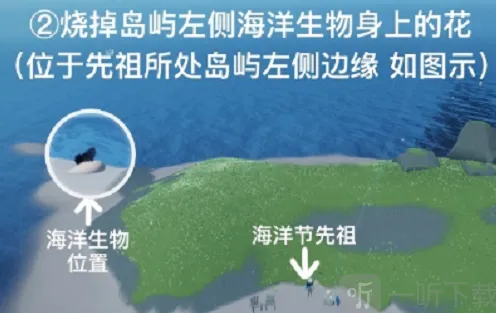 光遇污染