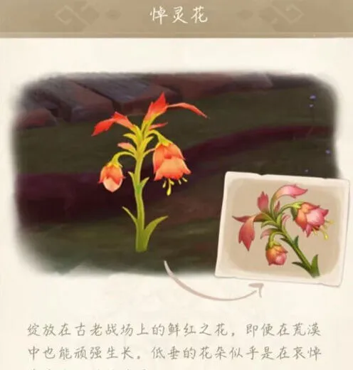 《原神》：悼灵花刷新时间完整教程
