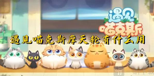 《遇见》：摩天轮用处攻略
