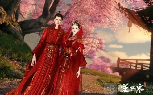逆水寒结婚条件完整介绍