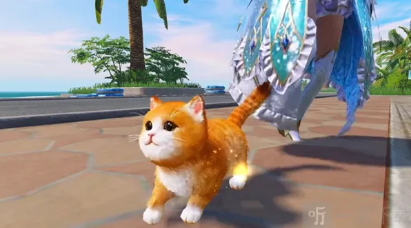 和平精英修改猫咪名字详解