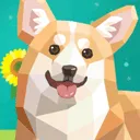 萨法里归并动物官方最新版-1.0.235