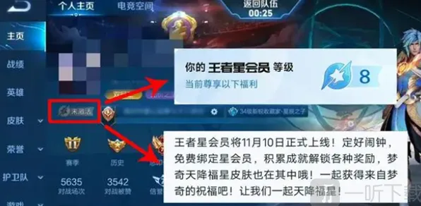 王者荣耀星会员等级查看方法分享
