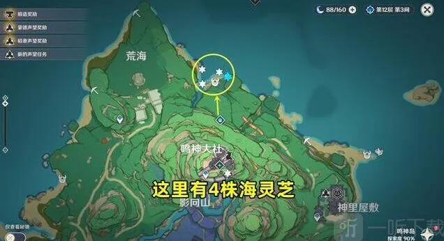 《原神》海灵芝采集刷新点2022指南 2.8版本路线一览