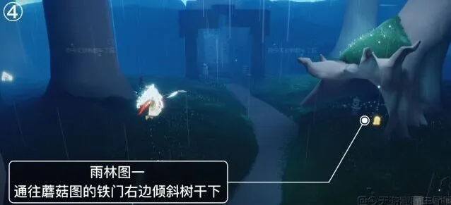 光遇位置