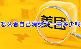 美团总额