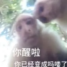 支付宝开证明