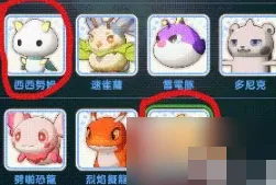 出发吧麦芬宠物