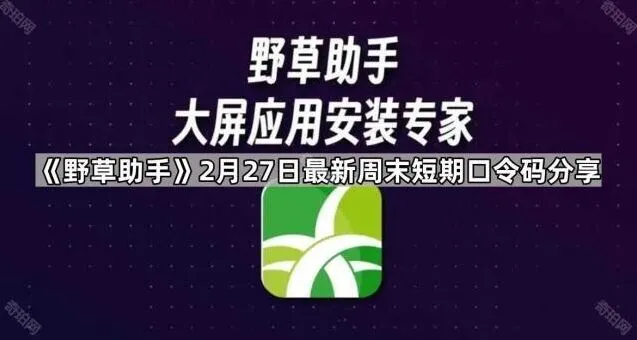 《野草助手》2月27日周末短期口令码最新分享方法