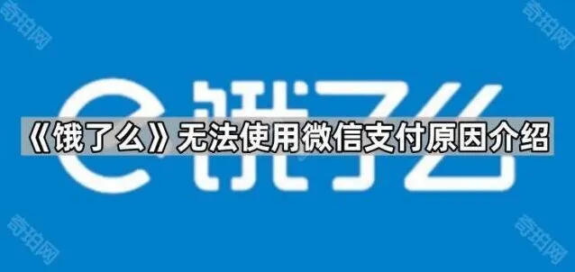 《饿了么》：无法使用微信支付原因指南