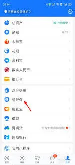 支付宝如何退保