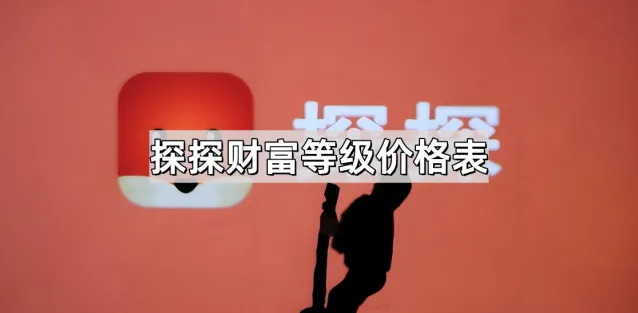 《探探》财富等级价格表方法