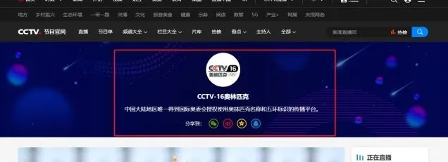 央视频介绍