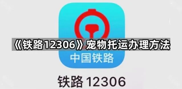 《铁路12306》：宠物托运办理方法详细指南