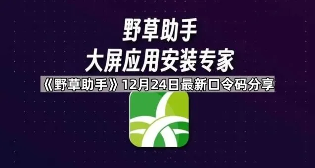 TA口令码分享使用指南