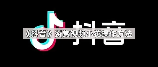 TA赞赏视频小花设置方法详解