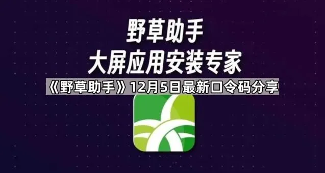 《央视频》：远程安装功能教程