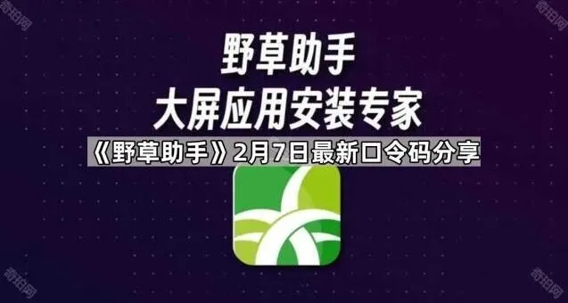 《TA》最全2月7日口令码分享教程