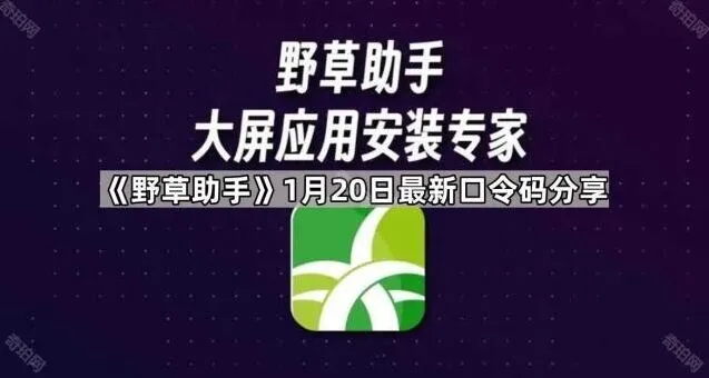 《TA》最新口令码分享详细教程