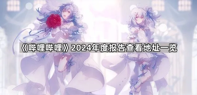 《哔哩哔哩》2024年度报告查看地址完整指南