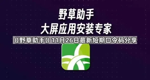 Keep野草