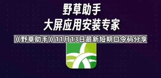 最新短期口令码分享：TA软件操作教程