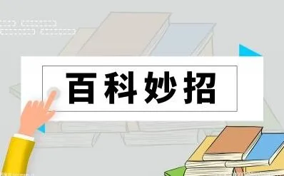 《百度》torrentkitty电影下载地址用法教程