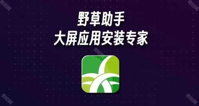《TA》最新口令码使用方法