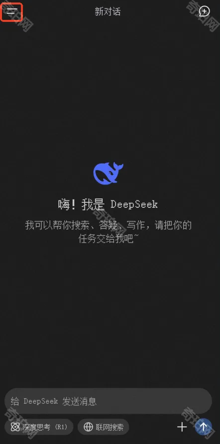 DeepSeek语言