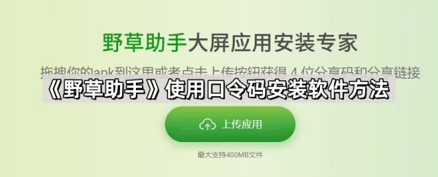 乐播投屏野草