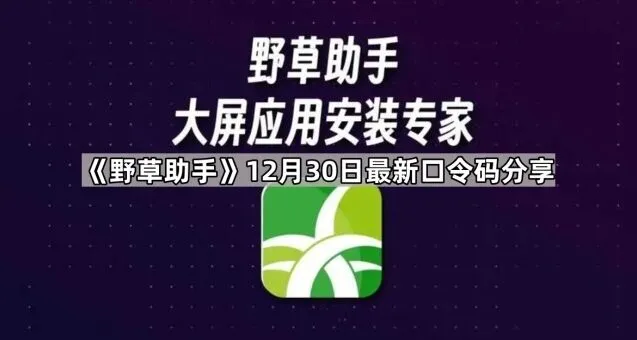 《野草助手》12月30日最新口令码分享步骤