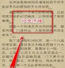 书阅掌阅