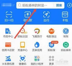 查看健康码URL代码：ios支付宝操作教程