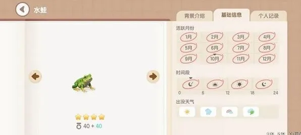 心动小镇水蛙