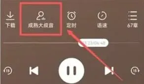 《番茄畅听》：切换声音功能教程