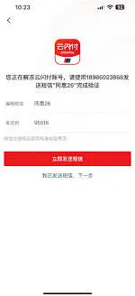 云闪付风险