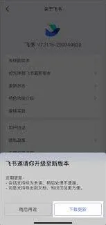 《飞书》查看版本号完整教程