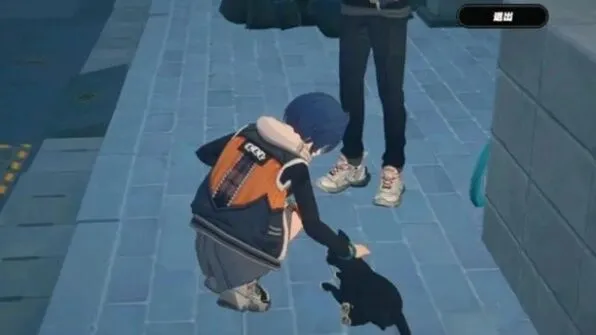 绝区零养小猫