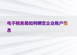 电子税务局企业
