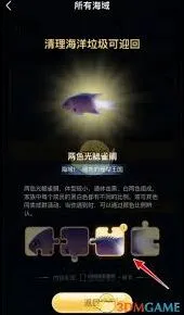 支付宝海洋